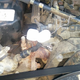 Image for article titled How To Cook A Delicious Meal With Your Car